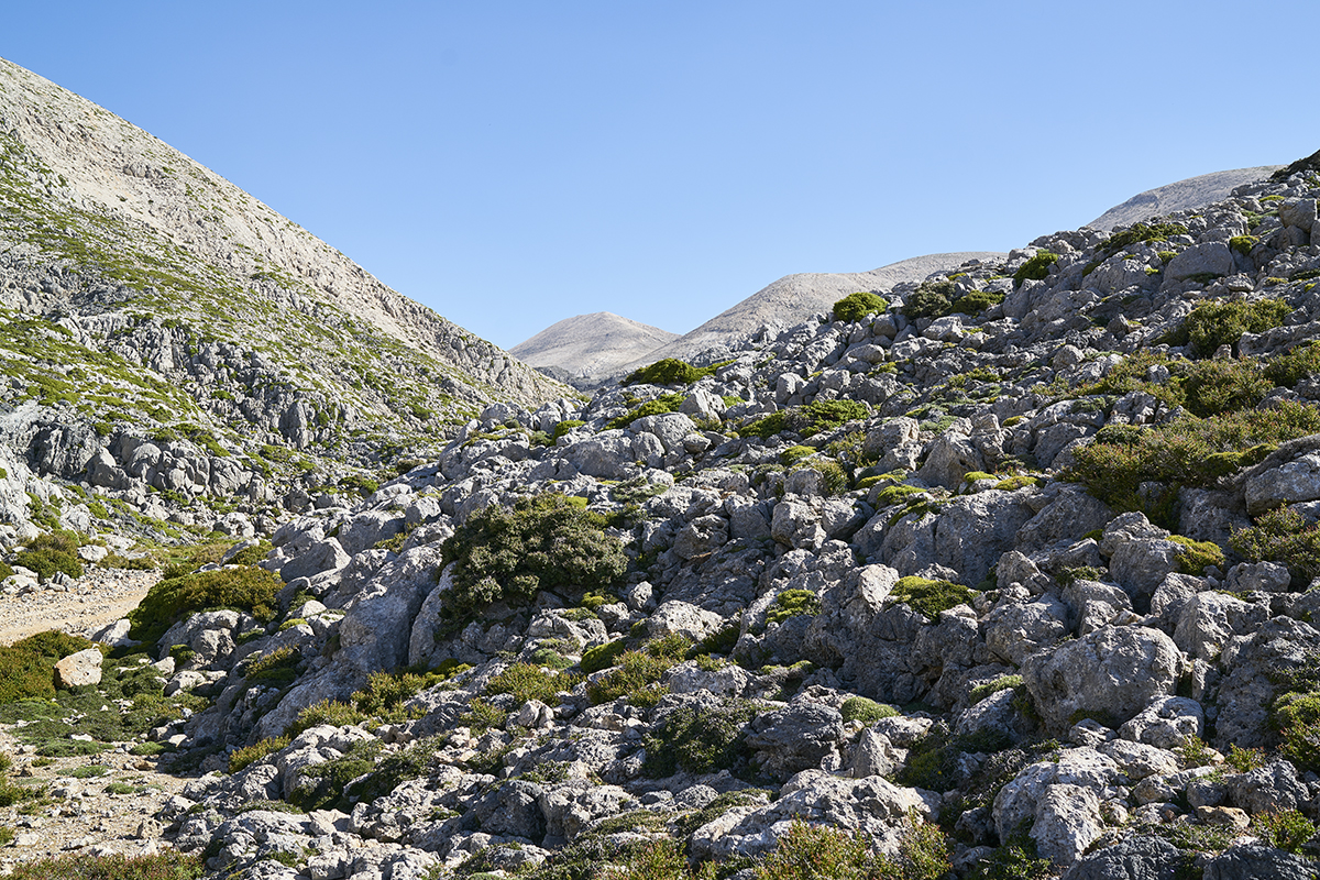 Die Weißen Berge (Lefka Ori) liegen im Südwesten Kretas